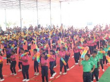 Plants: image 1 0f 4 thumb